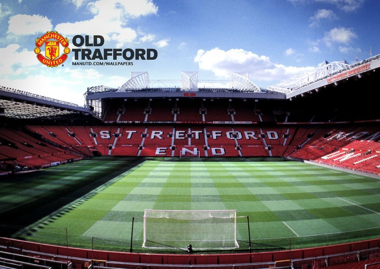 球队需要新 球队需要新